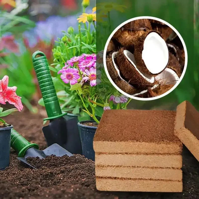 Last Day Sale 46% OFF✨ - Organic Coconut Coir for Plants