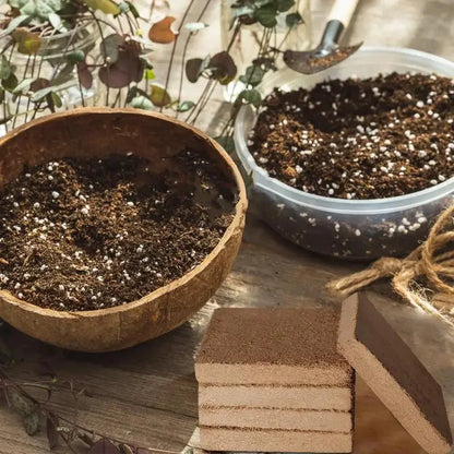 Last Day Sale 46% OFF✨ - Organic Coconut Coir for Plants